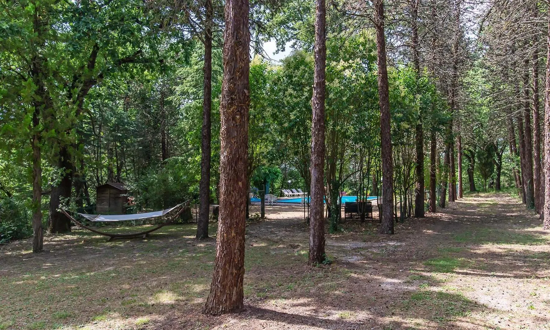 팜스테이 Agriturismo Il Pornelleto - Villa Alari 세토나