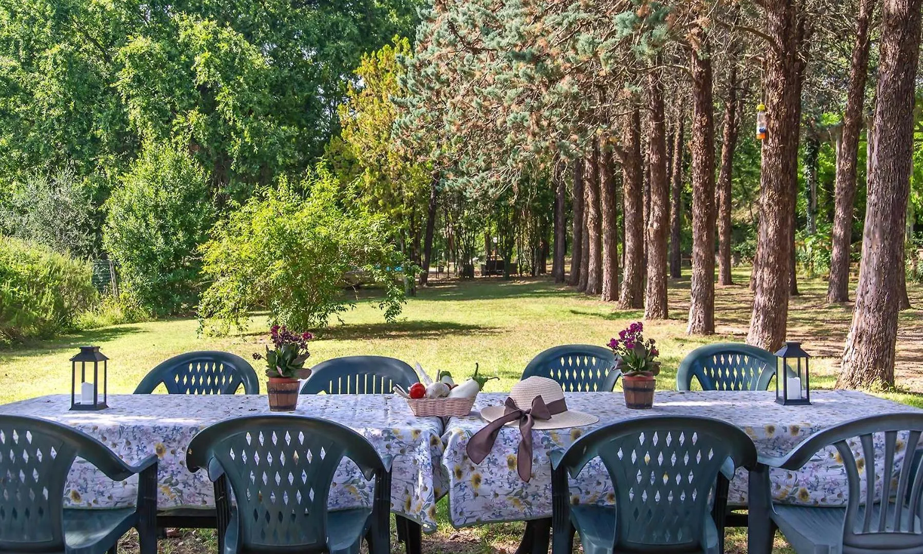 Agriturismo Pornelleto Cetona Alloggio per agriturismo