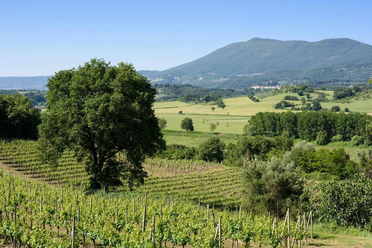 Agriturismo Pornelleto Cetona