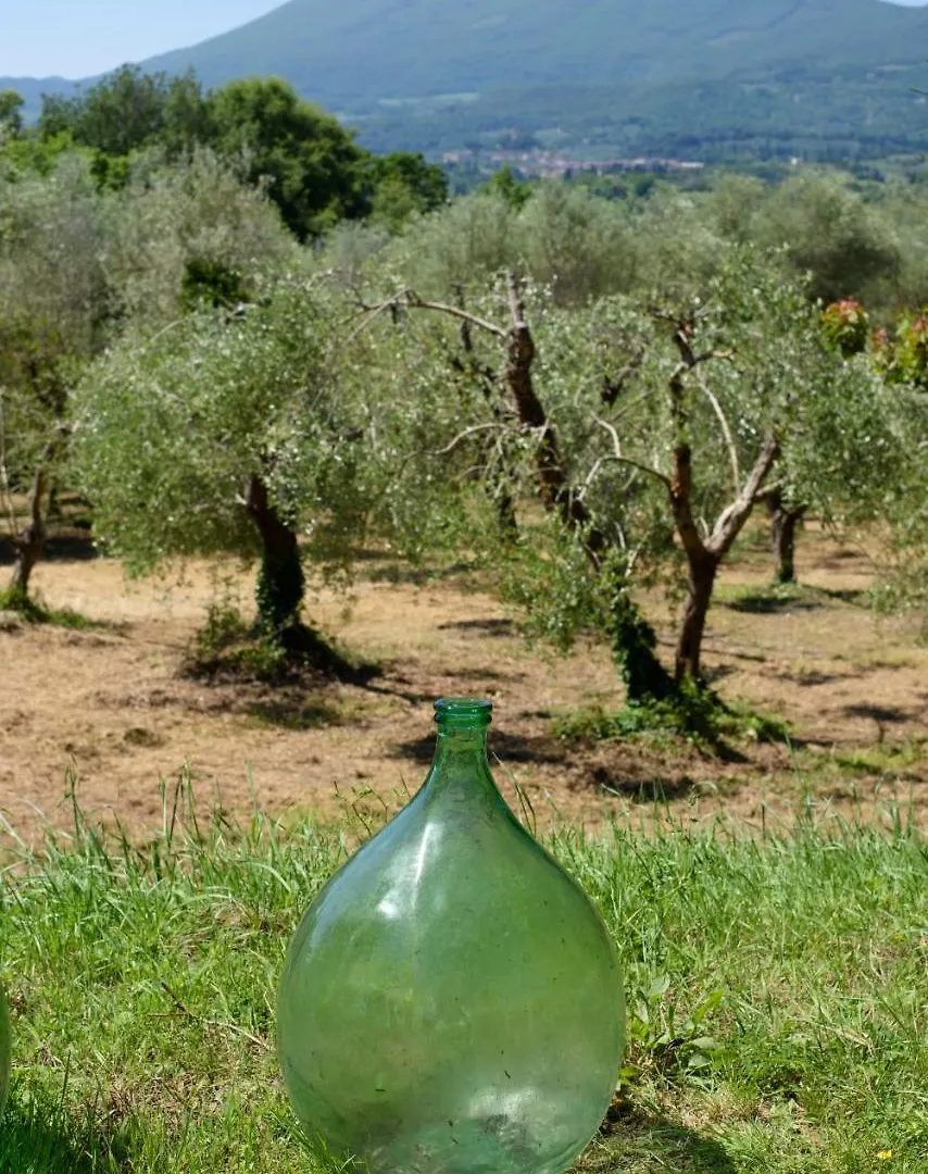팜스테이 Agriturismo Il Pornelleto - Villa Alari 세토나 이탈리아